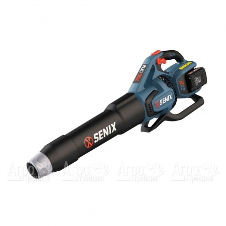 Воздуходувка аккумуляторная Senix BLAX2-M2-EU в Волжском