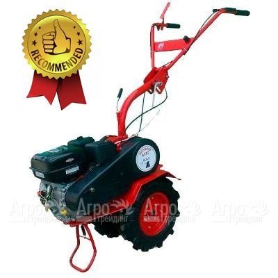 Мотоблок Агат БС-6.5 с двигателем Briggs&#38;Stratton RS 6.5 л.с. (фрезы в комплекте) в Волжском