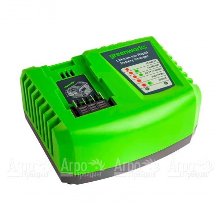 Быстрое зарядное устройство Greenworks G40UC4  в Волжском