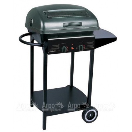 Гриль-барбекю газовый Green Glade RH-2210A  в Волжском