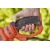 Электрический кусторез (электрокусторез) Black+Decker BEHTS551 в Волжском