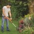 Аккумуляторный триммер Black+Decker ST1823 в Волжском