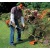 Бензокоса (бензиновый триммер) Stihl FS 55 C в Волжском