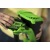 Воздуходувка аккумуляторная GreenWorks G40AB (без батареи и зарядного устройства) в Волжском