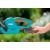 Аккумуляторный кусторез Gardena EasyCut 42 Accu в Волжском
