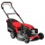 Газонокосилка бензиновая EVOline LMG 51 CS в Волжском