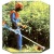 Бензокоса (бензиновый триммер) Stihl FS 55 C в Волжском