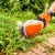 Аккумуляторные ножницы для кустарников Stihl HSA 26 (без аккумулятора и зарядного устройства) в Волжском