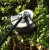 Аккумуляторный триммер DEKO DKTR40V PRO в Волжском