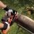 Аккумуляторная пила Black+Decker GKC1825LB-10" (без аккумулятора и зарядного устройства) в Волжском
