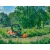 Садовый райдер Husqvarna P525DX с кабиной в Волжском