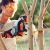 Аккумуляторная пила Stihl MSA 120 C-BQ-12 в Волжском