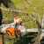 Аккумуляторная пила Stihl MSA 220 C-B-16" (без аккумулятора и зарядного устройства) в Волжском