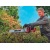 Аккумуляторный кусторез Einhell PXC GE-CH 36/62 Li-Solo (без аккумулятора и зарядного устройства) в Волжском