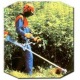 Бензокоса (бензиновый триммер) Stihl FS 55 C в Волжском