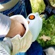 Бензокоса (бензиновый триммер) Stihl FS 45 C-E в Волжском