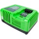 Быстрое зарядное устройство Greenworks G40UC5 в Волжском