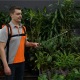 Аккумуляторный опрыскиватель Daewoo DSA 12Li SET в Волжском