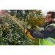 Аккумуляторный кусторез Dewalt DCM563PB (без аккумулятора и зарядного устройства) в Волжском