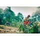 Бензопила Husqvarna 455e Rancher-18&quot; в Волжском