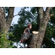Бензопила Husqvarna 545 Mark II-15&quot; в Волжском